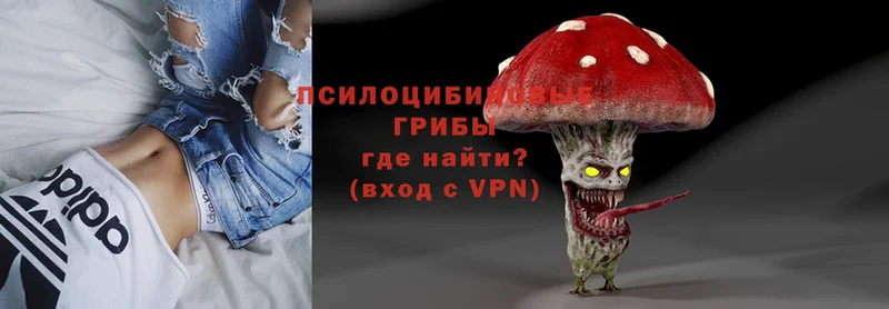 Галлюциногенные грибы MAGIC MUSHROOMS  Анадырь 